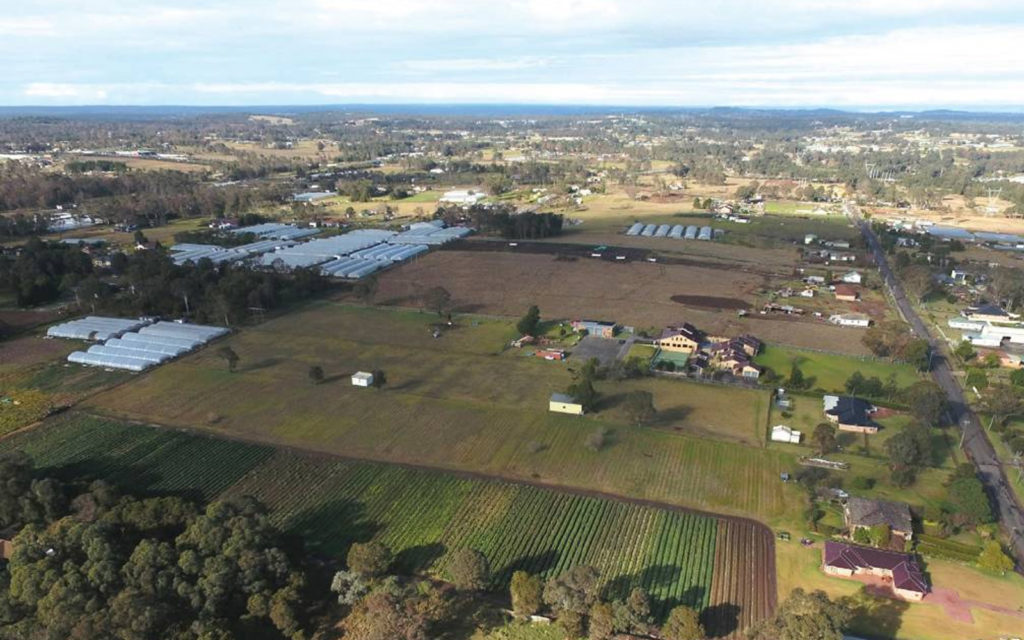 Leppington